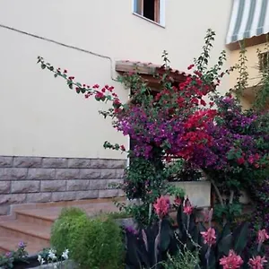 https://al-trentados.hotelsalgherosardinia.com